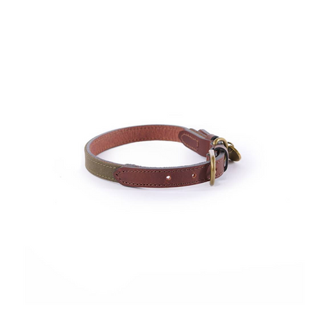 Collier pour chien Le Chameau en coton ciré et cuir, disponible en Vert Chameau, Rouge, et Bleu Foncé, convient aux chiens de toutes tailles, assurant confort et durabilité.