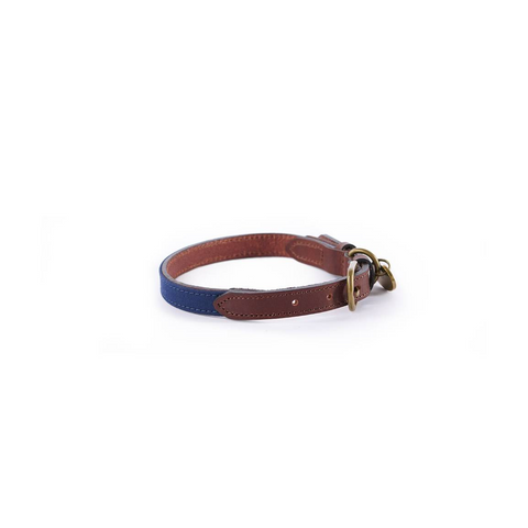 Collier pour chien Le Chameau en coton ciré et cuir, disponible en Vert Chameau, Rouge, et Bleu Foncé, convient aux chiens de toutes tailles, assurant confort et durabilité.