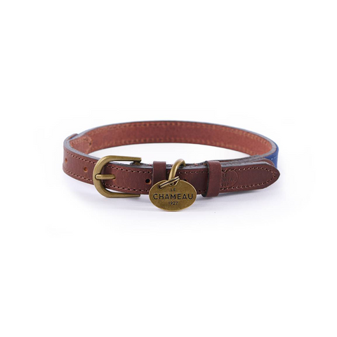 Collier pour chien Le Chameau en coton ciré et cuir, disponible en Vert Chameau, Rouge, et Bleu Foncé, convient aux chiens de toutes tailles, assurant confort et durabilité.