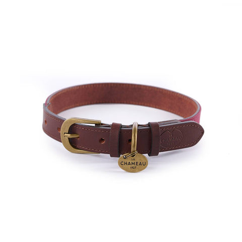 Collier pour chien Le Chameau en coton ciré et cuir, offrant durabilité et confort optimal, adapté aux chiens de toutes tailles pour les activités en plein air et les promenades quotidiennes, disponible en plusieurs couleurs et tailles, résistant à l'usure et aux intempéries.