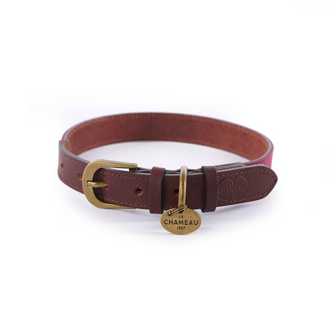 Collier pour chien Le Chameau en coton ciré et cuir, disponible en Vert Chameau, Rouge, et Bleu Foncé, convient aux chiens de toutes tailles, assurant confort et durabilité.