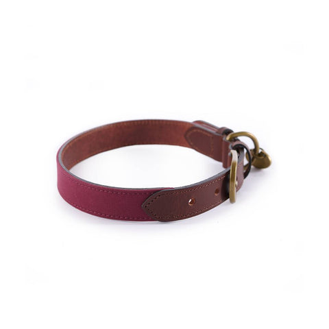 Collier pour chien Le Chameau en coton ciré et cuir, offrant durabilité et confort optimal, adapté aux chiens de toutes tailles pour les activités en plein air et les promenades quotidiennes, disponible en plusieurs couleurs et tailles, résistant à l'usure et aux intempéries.