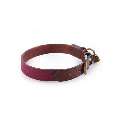 Collier pour chien Le Chameau en coton ciré et cuir, disponible en Vert Chameau, Rouge, et Bleu Foncé, convient aux chiens de toutes tailles, assurant confort et durabilité.