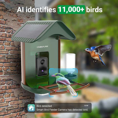 Mangeoire à oiseaux connectée Camouflage avec caméra IA, équipée pour détecter plus de 11 000 espèces, offrant visualisation live via application Birdlovers, autonomie durable grâce aux panneaux solaires intégrés, et interaction sonore enrichie avec micro et haut-parleurs intégrés