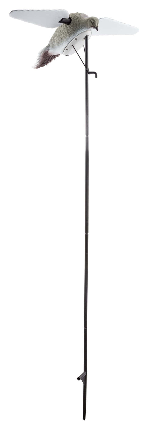 Appelant Europ-Arm pour Tourterelles à Ailes Tournantes en action, accessoire de chasse conçu pour imiter le mouvement d'une tourterelle en vol avec des ailes motorisées pour attirer les oiseaux lors de la chasse