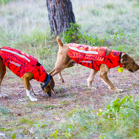 Gilet CaniHunt Protect Defender 2.0 pour chiens de chasse, offrant protection maximale avec design camouflage orange fluo, tissu CORDURA® résistant, ajustement optimal, et visibilité accrue grâce à des bandes réfléchissantes.