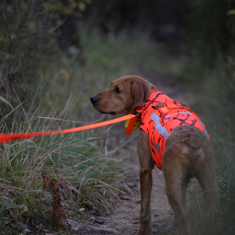 Gilet CaniHunt Protect Defender 2.0 pour chiens de chasse, offrant protection maximale avec design camouflage orange fluo, tissu CORDURA® résistant, ajustement optimal, et visibilité accrue grâce à des bandes réfléchissantes.