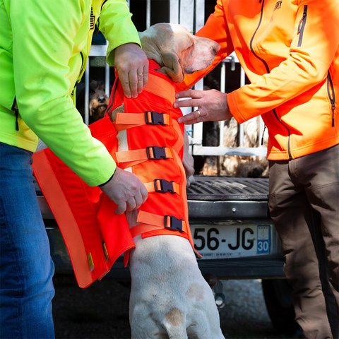 Gilet CaniHunt Protect Dog Armor V3 TECKEL vibrant orange, assurant protection renforcée anti-perforation et visibilité pour chiens de chasse, avec tissus CORDURA et Kevlar, adapté aux terrains exigeants et offrant confort optimal grâce à sa thermorégulation avancée.