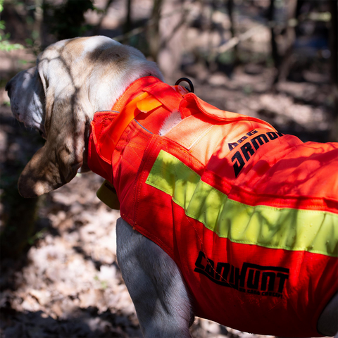 Gilet CaniHunt Protect Dog Armor V3 TECKEL vibrant orange, assurant protection renforcée anti-perforation et visibilité pour chiens de chasse, avec tissus CORDURA et Kevlar, adapté aux terrains exigeants et offrant confort optimal grâce à sa thermorégulation avancée.