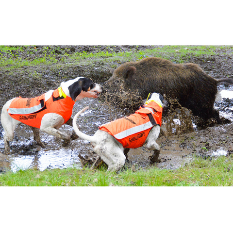 Gilet CaniHunt Protect Light pour chiens de chasse, léger, résistant, conçu pour protection efficace, tissu CORDURA RIPSTOP, anti-perforation, haute visibilité, doublure imper-respirante, ajustement facile, idéal pour petits chiens de chasse