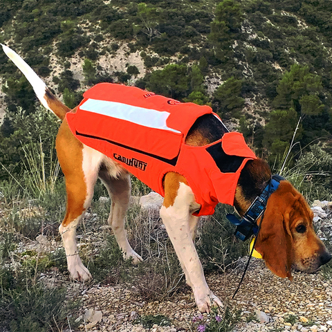Gilet CaniHunt Protect Light pour chiens de chasse, léger, résistant, conçu pour protection efficace, tissu CORDURA RIPSTOP, anti-perforation, haute visibilité, doublure imper-respirante, ajustement facile, idéal pour petits chiens de chasse