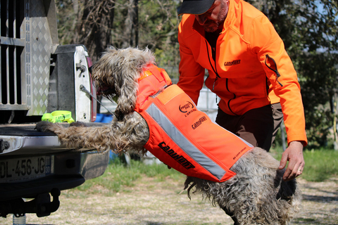 Gilet CaniHunt Protect Pro L'Original, gilet de protection orange fluo pour la visibilité, résistante et sécurisée pour chien de chasse, face externe en CORDURA 1100 DTEX, tissu anti-perforation, confort avec doublure thermo-régulatrice, protection contre perforations et débordements, sécurité et confort pour chien, ajustable avec systèmes de fermeture Zip et Velcro, équipement de chasse haute performance