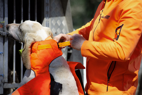Gilet CaniHunt Protect Pro L'Original, gilet de protection orange fluo pour la visibilité, résistante et sécurisée pour chien de chasse, face externe en CORDURA 1100 DTEX, tissu anti-perforation, confort avec doublure thermo-régulatrice, protection contre perforations et débordements, sécurité et confort pour chien, ajustable avec systèmes de fermeture Zip et Velcro, équipement de chasse haute performance