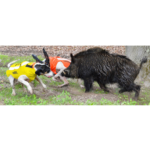 Gilet CaniHunt Protect Pro Cano, conçu pour la protection sécurisée et confortable des chiens de chasse, doté d'un tissu CORDURA ultra-résistant, protection balistique, scratch Velcro pour ajustement, doublure thermo-régulatrice, et bandes réfléchissantes pour une visibilité maximale.