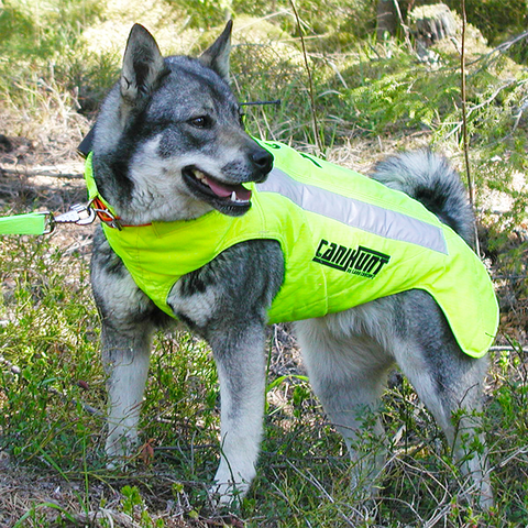 Gilet CaniHunt Protect Pro Cano, conçu pour la protection sécurisée et confortable des chiens de chasse, doté d'un tissu CORDURA ultra-résistant, protection balistique, scratch Velcro pour ajustement, doublure thermo-régulatrice, et bandes réfléchissantes pour une visibilité maximale.