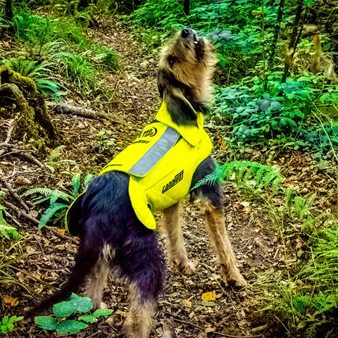 Gilet CaniHunt Protect Pro Cano, conçu pour la protection sécurisée et confortable des chiens de chasse, doté d'un tissu CORDURA ultra-résistant, protection balistique, scratch Velcro pour ajustement, doublure thermo-régulatrice, et bandes réfléchissantes pour une visibilité maximale.