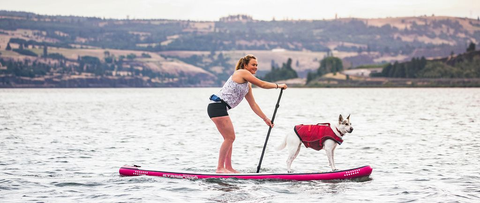 gilet de flottaison SURF N TURF™ sur un chien, flottant en sécurité lors d'activités nautiques comme le paddle et le canoë, avec poignées d'extraction et tissu Ripstop™ résistant, pour assurer la sécurité et le confort de votre animal dans l'eau