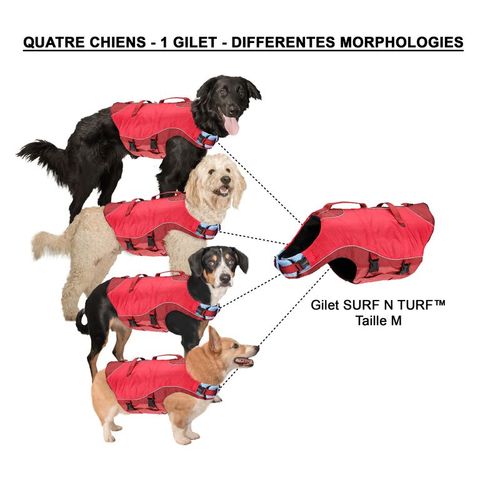 gilet de flottaison SURF N TURF™ sur un chien, flottant en sécurité lors d'activités nautiques comme le paddle et le canoë, avec poignées d'extraction et tissu Ripstop™ résistant, pour assurer la sécurité et le confort de votre animal dans l'eau