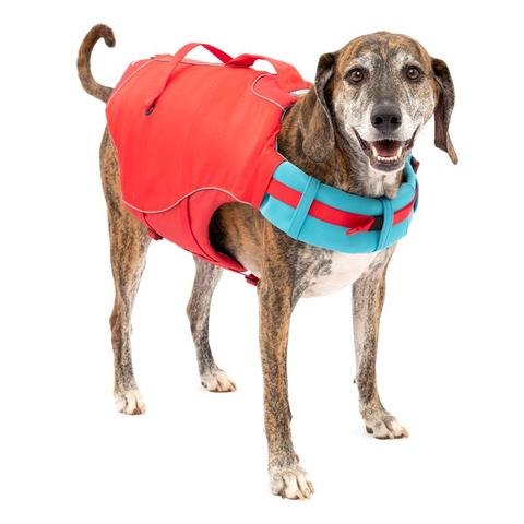gilet de flottaison SURF N TURF™ sur un chien, flottant en sécurité lors d'activités nautiques comme le paddle et le canoë, avec poignées d'extraction et tissu Ripstop™ résistant, pour assurer la sécurité et le confort de votre animal dans l'eau