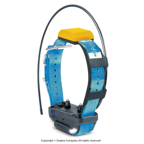 Collier supplémentaire Dogtra Pathfinder V2 étanche et durable pour chiens de 15 kg et plus, avec portée de 10 000 mètres et options de stimulation varient pour un dressage flexible et sans stress dans diverses conditions.