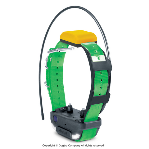 Collier supplémentaire Dogtra Pathfinder V2 étanche et durable pour chiens de 15 kg et plus, avec portée de 10 000 mètres et options de stimulation varient pour un dressage flexible et sans stress dans diverses conditions.