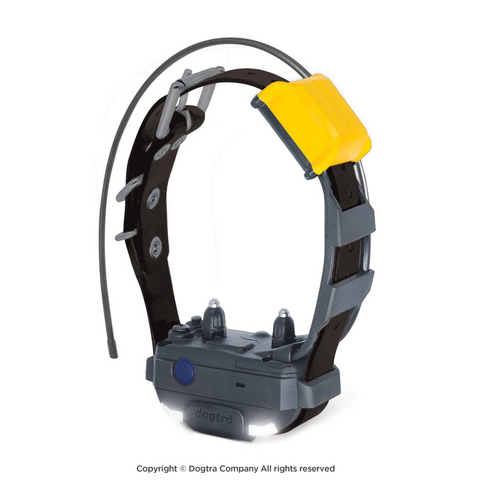Collier supplémentaire Dogtra Pathfinder Mini V2 pour petits chiens, étanche et avec GPS intégré, idéal pour le dressage et le suivi à longue distance, jusqu'à 5000 mètres, avec options de stimulation ajustables, certifié IPX9K pour résister aux conditions extérieures exigeantes