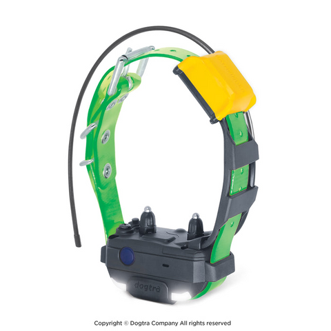 Collier supplémentaire Dogtra Pathfinder Mini V2 pour petits chiens, étanche et avec GPS intégré, idéal pour le dressage et le suivi à longue distance, jusqu'à 5000 mètres, avec options de stimulation ajustables, certifié IPX9K pour résister aux conditions extérieures exigeantes