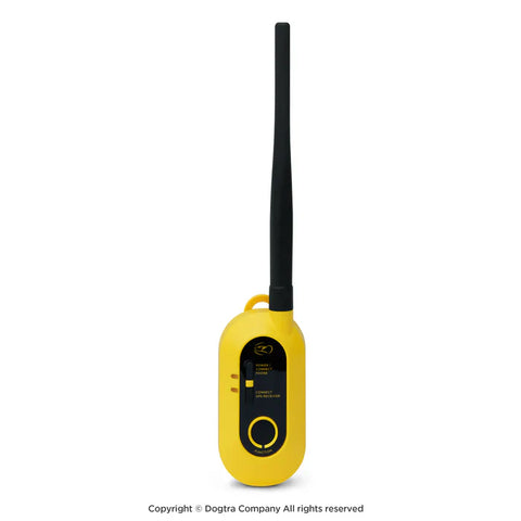 Dogtra Pathfinder connecteur reliant collier GPS à smartphone via Bluetooth et VHF pour un suivi précis et en temps réel des chiens en extérieur, idéal pour la chasse et la randonnée