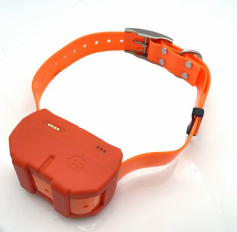 Collier de repérage et dressage Hunt Power DOGZE avec technologie avancée, disponible en plusieurs couleurs pour l'entraînement et la localisation de chiens, adapté pour un usage extérieur, réglable pour le confort et la sécurité de votre animal.