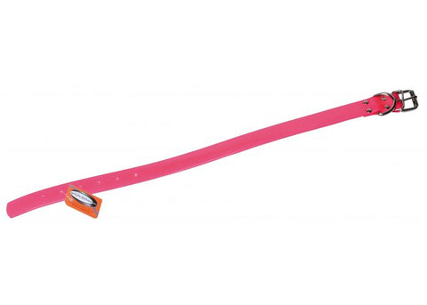 Collier chien en Biothane Biogold de couleur vive, longue de 55 cm et large de 25 mm, un accessoire durable, étanche et résistant pour chien, idéal pour une utilisation quotidienne et facile à entretenir.