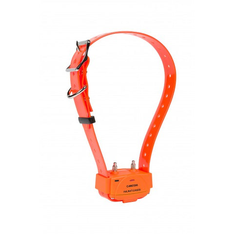 Pack collier de dressage Num’Axes Canicom 1000 - 2 chiens NUM317P