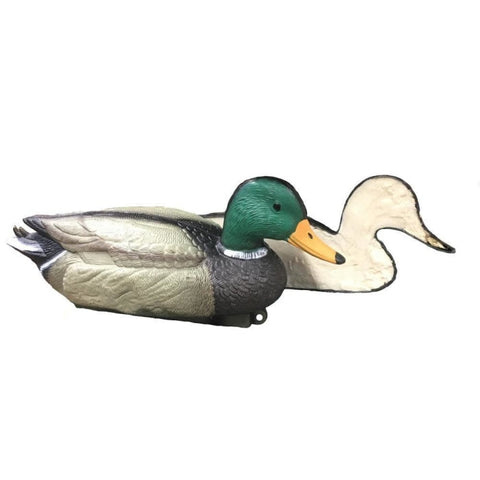 Appelant moussée colvert male Stepland SLAPC114M