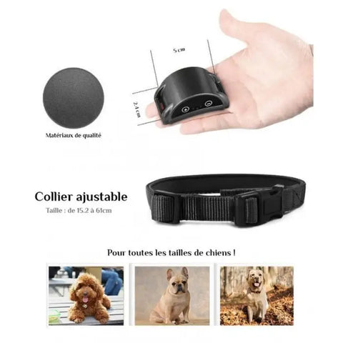 Collier anti-aboiement Elite Pet rechargeable CAA02