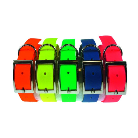 Collier Biothane Beta pour chien, hypoallergénique, antibactérien, résistant, disponible en cinq couleurs et multiples tailles, souple et imputrescible, idéal pour un usage quotidien.