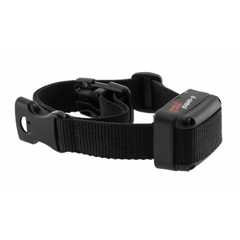 Collier de dressage d-control EASY Dog Trace CH9520