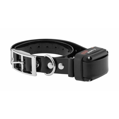 Collier de dressage Dog Trace d-control 600 plus CH9541