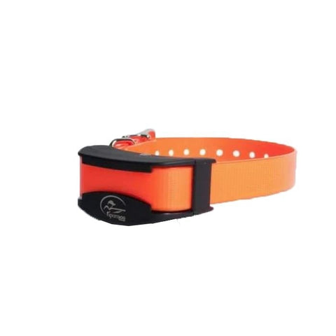 Collier de dressage supplémentaire SportDog petit chien CY3351