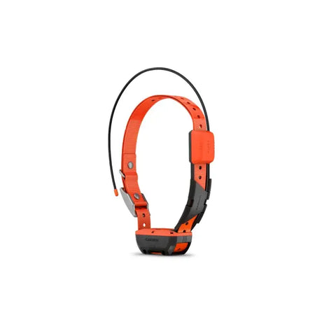 Collier de suivi et dressage Garmin Alpha T20F GAFCOLLIERT20