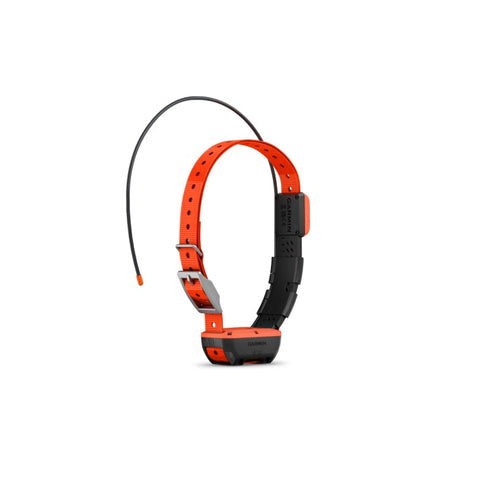 Collier de suivi et dressage Garmin Alpha T20F GAFCOLLIERT20