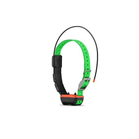 Collier de suivi et dressage Garmin Alpha TT25F GAFCOLLIERTT25