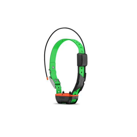 Collier de suivi et dressage Garmin Alpha TT25F GAFCOLLIERTT25