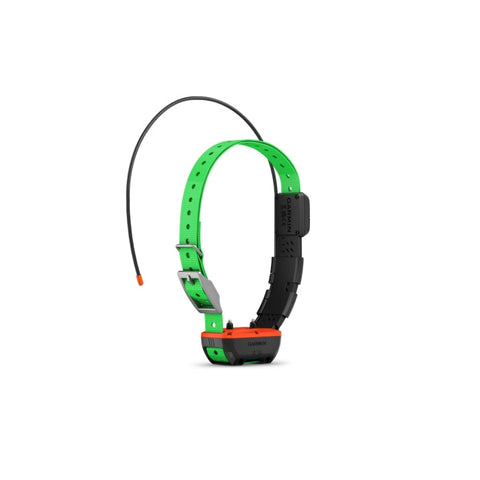 Collier de suivi et dressage Garmin Alpha TT25F GAFCOLLIERTT25