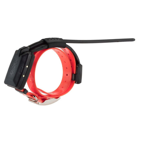 Collier GPS + télécommande pour 1 chien sans abonnement DOGTRACE