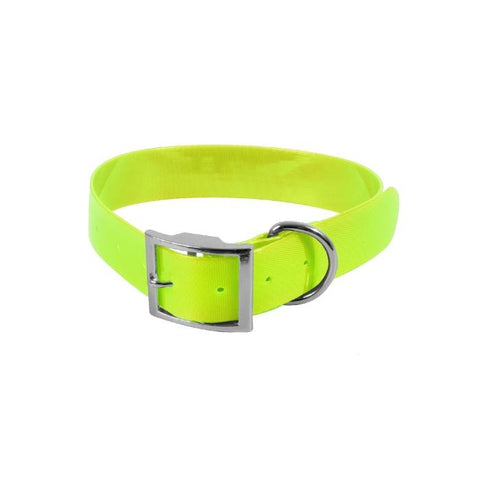 Collier HB Dog Biothane Biogold 396582