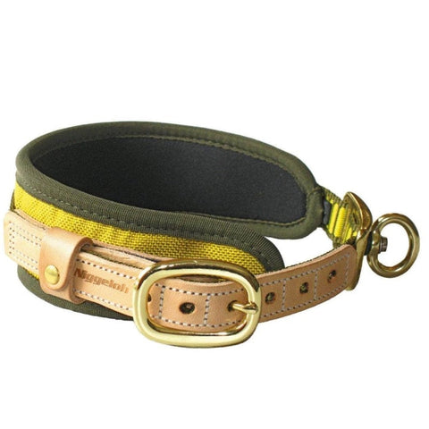 Collier Niggeloh chien de sang en néoprène armature alu N2400