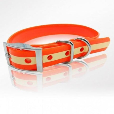 collier phosphorescent pour chien en polyuréthane, optimise la visibilité nocturne, 4 couleurs disponibles, Stepland