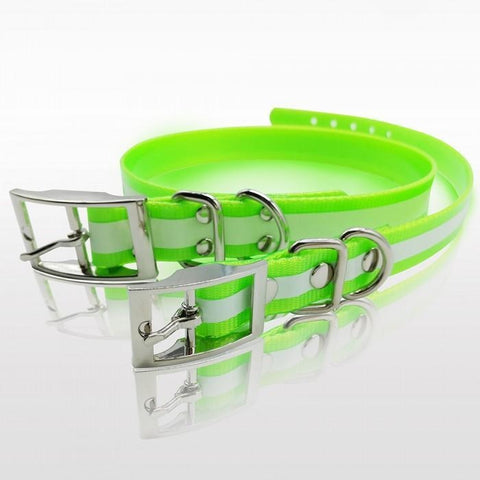 collier phosphorescent pour chien en polyuréthane, optimise la visibilité nocturne, 4 couleurs disponibles, Stepland