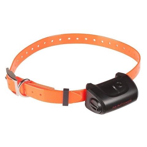 Collier supplémentaire Num’Axes Canicom 5 orange NUM375O