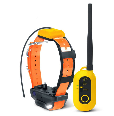 Dogtra PATHFINDER2 GPS and training collar for dogs, featuring vibration, LED light, up to 10 km range, waterproof design, suitable for small to large dogs, with app connectivity and no subscription needed.