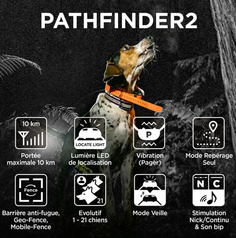 Dogtra PATHFINDER2 GPS and training collar for dogs, featuring vibration, LED light, up to 10 km range, waterproof design, suitable for small to large dogs, with app connectivity and no subscription needed.